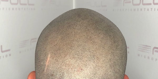 Tim Hi Res 2